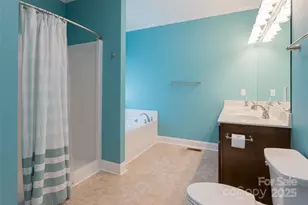 106 Beaver Dam Dr, Mills River, NC 28759 - Photo 22