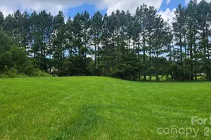 1672 Riverview Rd, Lincolnton, NC 28092 - Photo 4