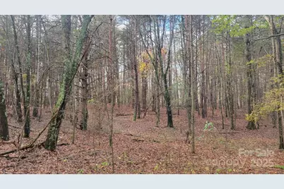 0000 Indian Creek Road, Lincolnton, NC 28092 - Photo 6