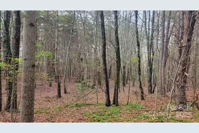 0000 Indian Creek Road, Lincolnton, NC 28092 - Photo 4