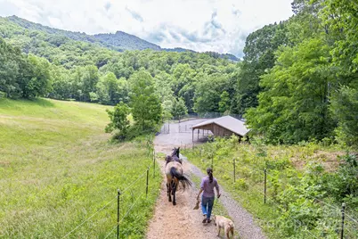 1745 Sugar Camp Road, Marshall, NC 28753 - Photo 32