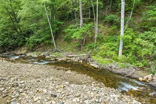 449 Little East Fork Rd, Canton, NC 28716 - Photo 10