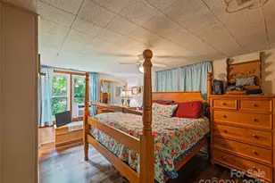 449 Little East Fork Rd, Canton, NC 28716 - Photo 26