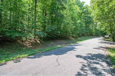 Lot #49 Moss Drive, Rutherfordton, NC 28139 - Photo 12