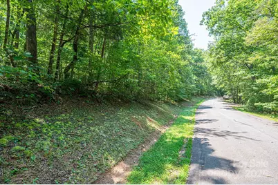Lot #49 Moss Drive, Rutherfordton, NC 28139 - Photo 8