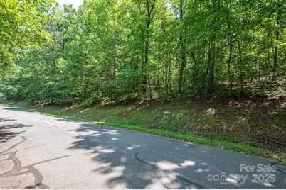 Lot #49 Moss Drive, Rutherfordton, NC 28139 - Photo 10