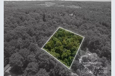 Lot #36 Moss Drive, Rutherfordton, NC 28139 - Photo 2