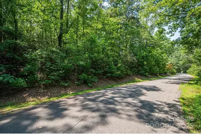 Lot #36 Moss Drive, Rutherfordton, NC 28139 - Photo 10