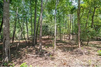 Lot 0 Annapolis Court, Rutherfordton, NC 28139 - Photo 2