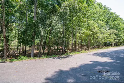 Lot 5 Annapolis Court, Rutherfordton, NC 28139 - Photo 10