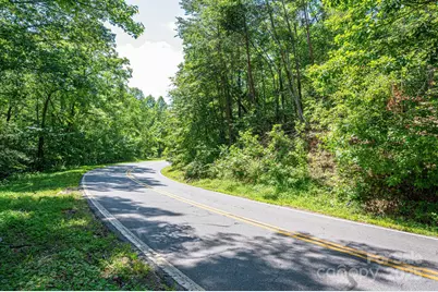 Lot #69 Cleghorn Mill Road, Rutherfordton, NC 28139 - Photo 4