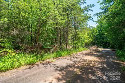 0 Meadow Crossing Drive, Rutherfordton, NC 28139 - Photo 14
