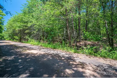 0 Meadow Crossing Drive, Rutherfordton, NC 28139 - Photo 16