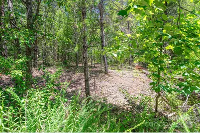 0 Meadow Crossing Drive, Rutherfordton, NC 28139 - Photo 20