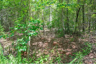 0 Meadow Crossing Drive, Rutherfordton, NC 28139 - Photo 22
