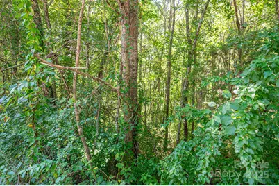 Lot # 16 Meadow Crossing Drive, Rutherfordton, NC 28139 - Photo 2