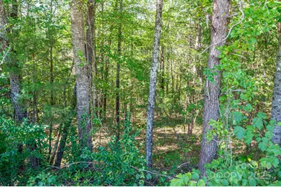 Lot 7 Meadow Crossing Drive, Rutherfordton, NC 28139 - Photo 1