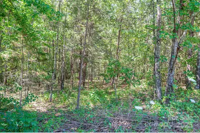 Lot # 15 Meadow Crossing Drive, Rutherfordton, NC 28139 - Photo 1