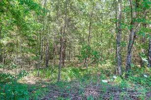 Lot # 15 Meadow Crossing Dr, Rutherfordton, NC 28139 - Photo 1