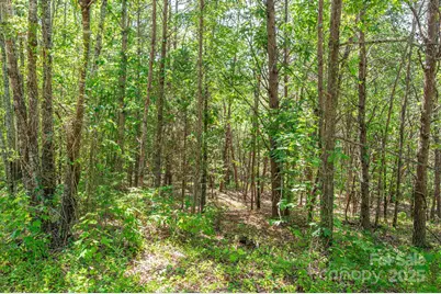 Lot # 15 Meadow Crossing Drive, Rutherfordton, NC 28139 - Photo 14