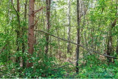 Lot #13 Meadow Crossing Drive, Rutherfordton, NC 28139 - Photo 1