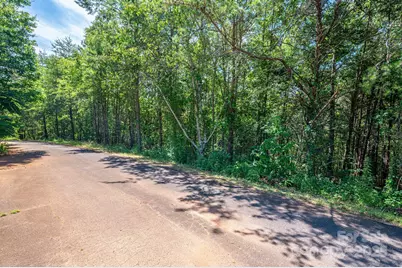 Lot #13 Meadow Crossing Drive, Rutherfordton, NC 28139 - Photo 16