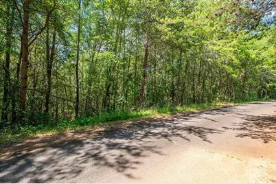 Lot #13 Meadow Crossing Drive, Rutherfordton, NC 28139 - Photo 12
