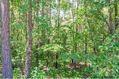 Lot #13 Meadow Crossing Drive, Rutherfordton, NC 28139 - Photo 4
