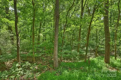 6115 Coltswood Court, Charlotte, NC 28211 - Photo 32