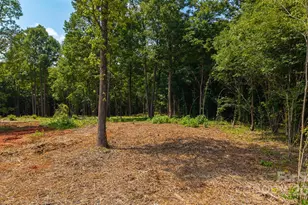 1853 Hill River Rd, Hiddenite, NC 28636 - Photo 4