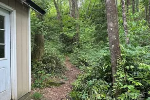 63 Apple Bee Rd, Brevard, NC 28712 - Photo 16