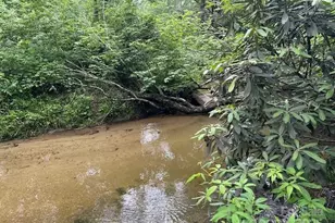 63 Apple Bee Rd, Brevard, NC 28712 - Photo 18