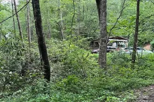 63 Apple Bee Rd, Brevard, NC 28712 - Photo 10