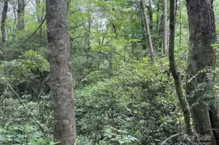 63 Apple Bee Rd, Brevard, NC 28712 - Photo 12