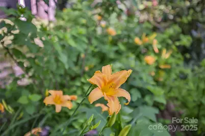 56 Faraway Drive, Cullowhee, NC 28723 - Photo 2