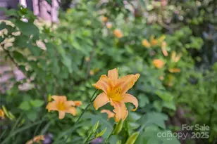 56 Faraway Dr, Cullowhee, NC 28723 - Photo 2