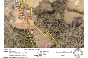 4282 Mt Gilead Church Rd, Connelly Springs, NC 28612 - Photo 12