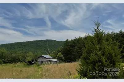 4282 Mount Gilead Church Road, Connelly Springs, NC 28612 - Photo 4