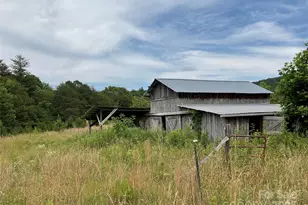 4282 Mt Gilead Church Rd, Connelly Springs, NC 28612 - Photo 6