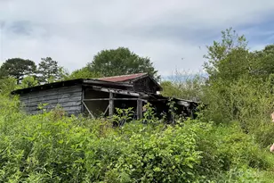 4282 Mt Gilead Church Rd, Connelly Springs, NC 28612 - Photo 10