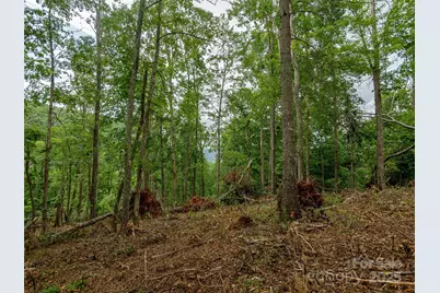 28 Windcliff Drive, Asheville, NC 28803 - Photo 6