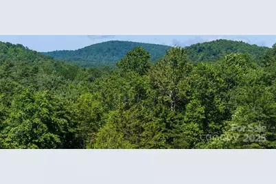 129 Melrose Lake Road, Saluda, NC 28773 - Photo 34