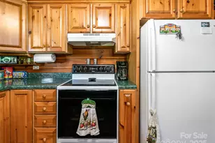 129 Melrose Lake Rd, Saluda, NC 28773 - Photo 14