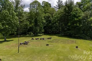 1424 Bear Creek Rd, Bakersville, NC 28705 - Photo 24