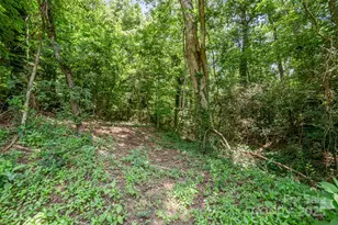 165 Fieldstone Farm Dr, Statesville, NC 28625 - Photo 42