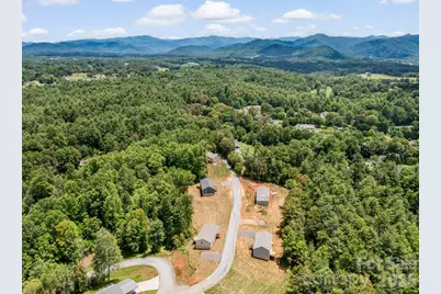 209 Walnut Branch Road, Weaverville, NC 28787 - Photo 42