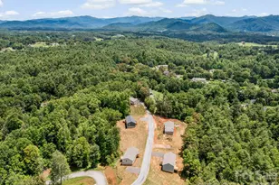 209 Walnut Br Rd, Weaverville, NC 28787 - Photo 42