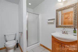 288 Hard to Find Dr, Brevard, NC 28712 - Photo 28