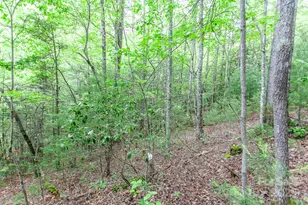 65 Cunningham Rd, Bryson City, NC 28713 - Photo 22