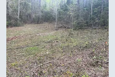 65 Cunningham Road, Bryson City, NC 28713 - Photo 36